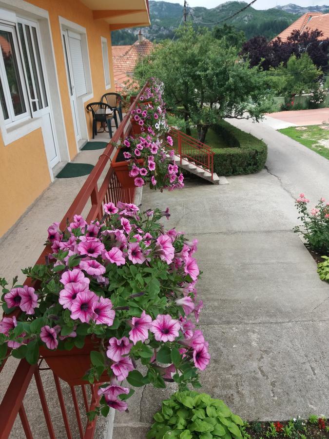 Apartments Mirkovic Cetinje Luaran gambar